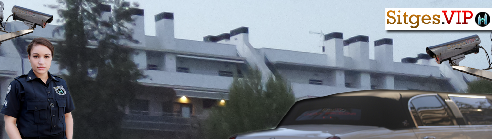 Personal Security & Premises Surveillance Info & Booking Request